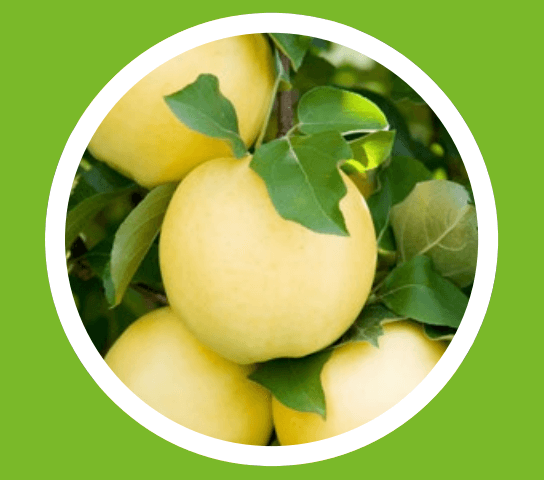 Защита урожая