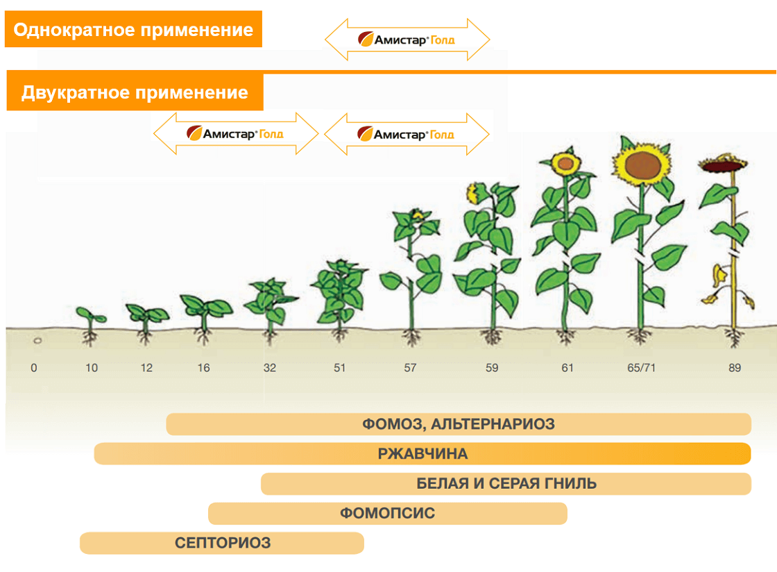 Схема защиты подсолнечника