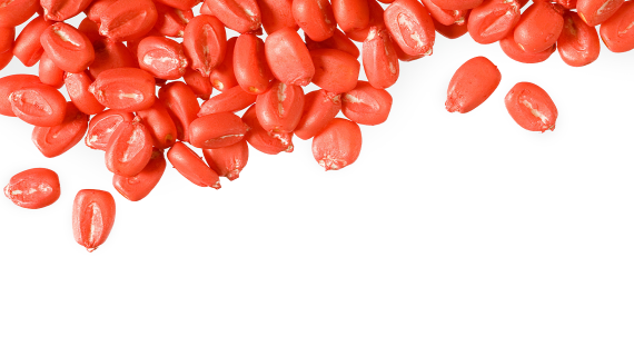 ВАЙБРАНС® для кукурузы