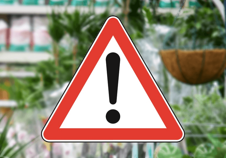 Осторожно! Фальсификат!, фото