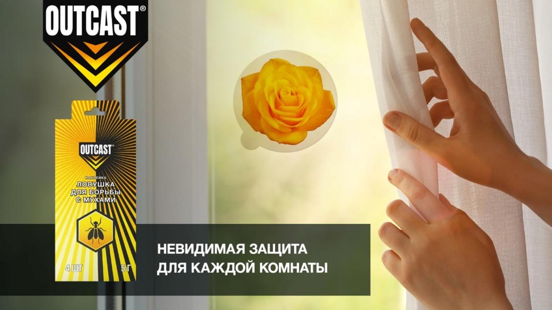 Приманка-наклейка для борьбы с мухами в помещении