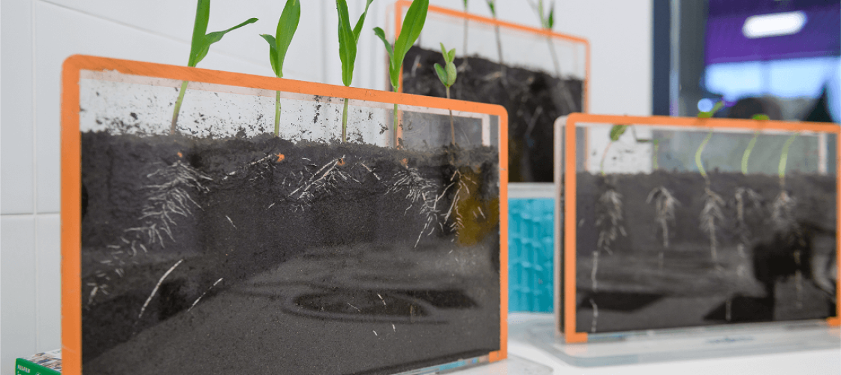 Доказательство эффективности слайд 3