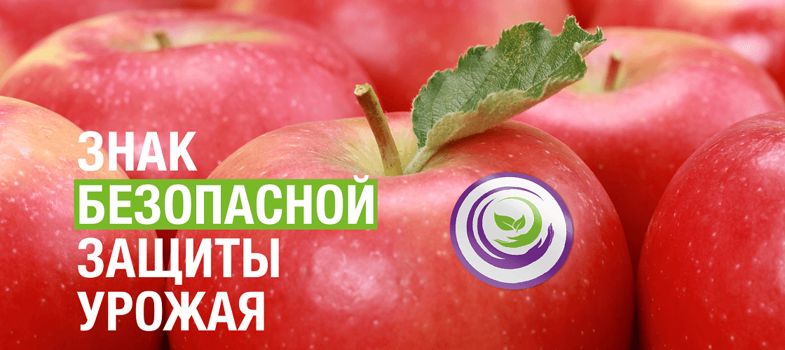 Cideli-top-LP-mainbanner