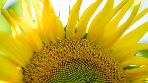 Классическая технология