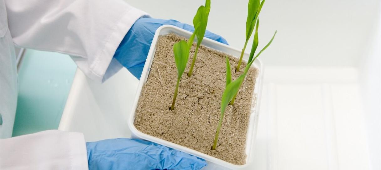 Доказательство эффективности слайд 4