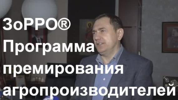 Как уменьшить риск падения цен на зерно? Опыт участия в программе ЗоРРО®