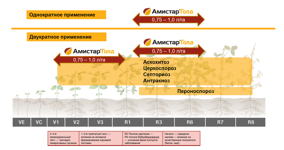 Длительная системная защита сои от болезней