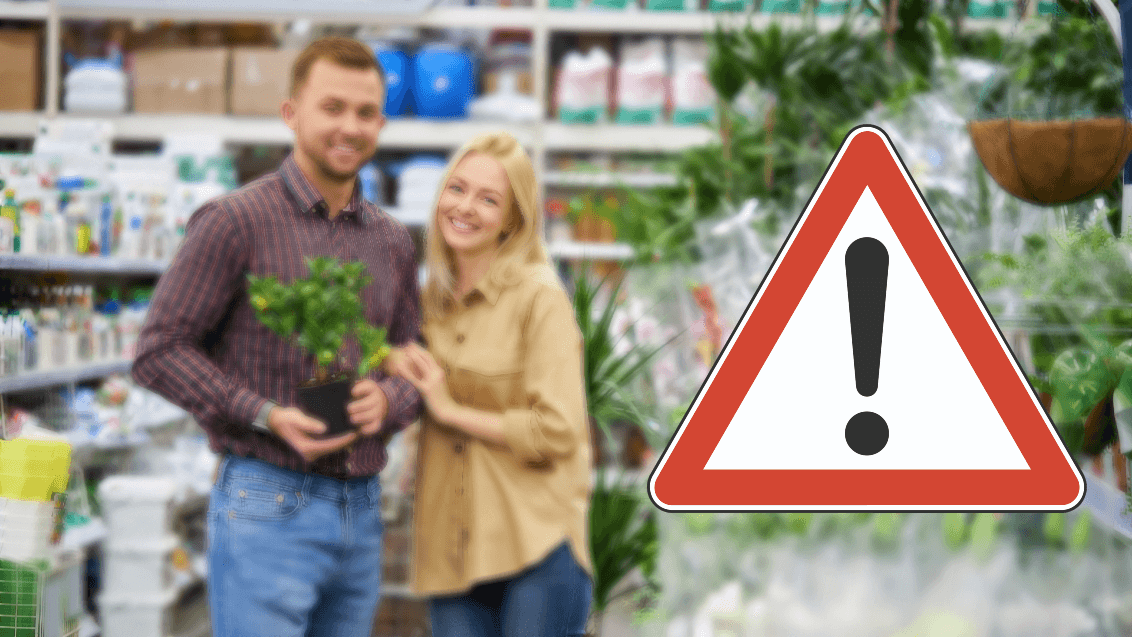 Осторожно! Фальсификат!