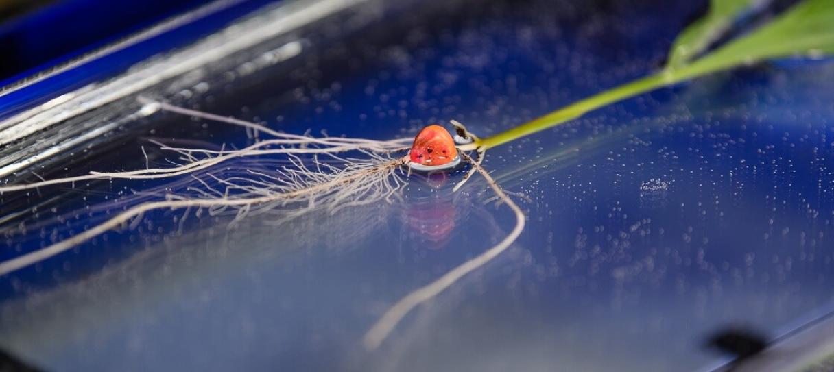 Доказательство эффективности слайд 2