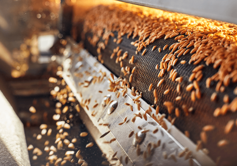 Характеристики оборудования для обработки семян, которые следует принимать во внимание