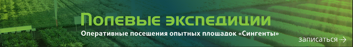 Полевые экспедиции