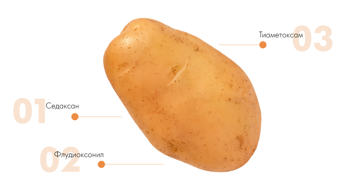 ВАЙБРАНС® Топ — три компонента надежной защиты