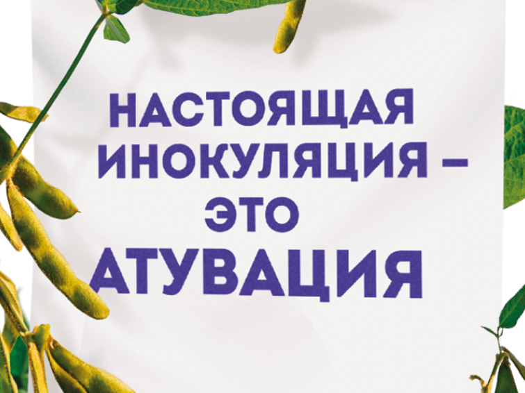 Инокулянт последнего поколения для российских почв