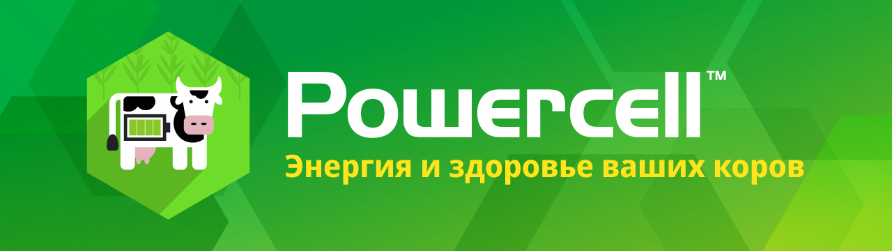 POWERCELL™ – гибриды кукурузы на силос для идеально сбалансированного рациона