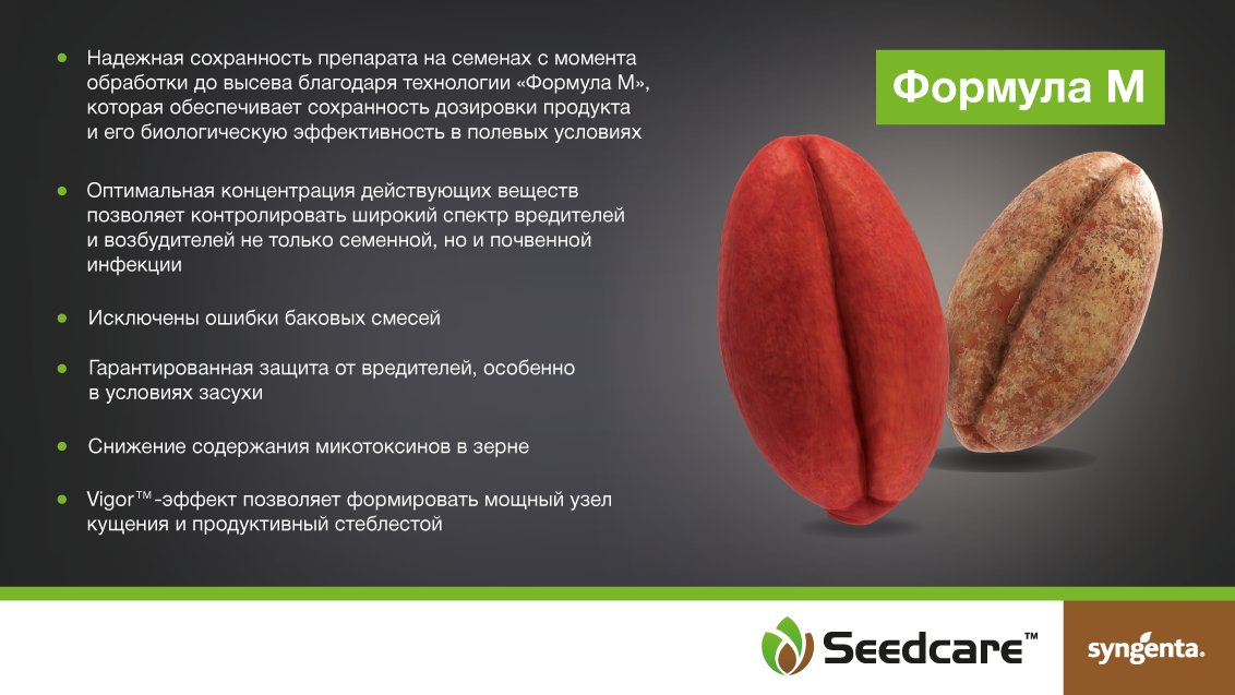 Селест Макс Формула М