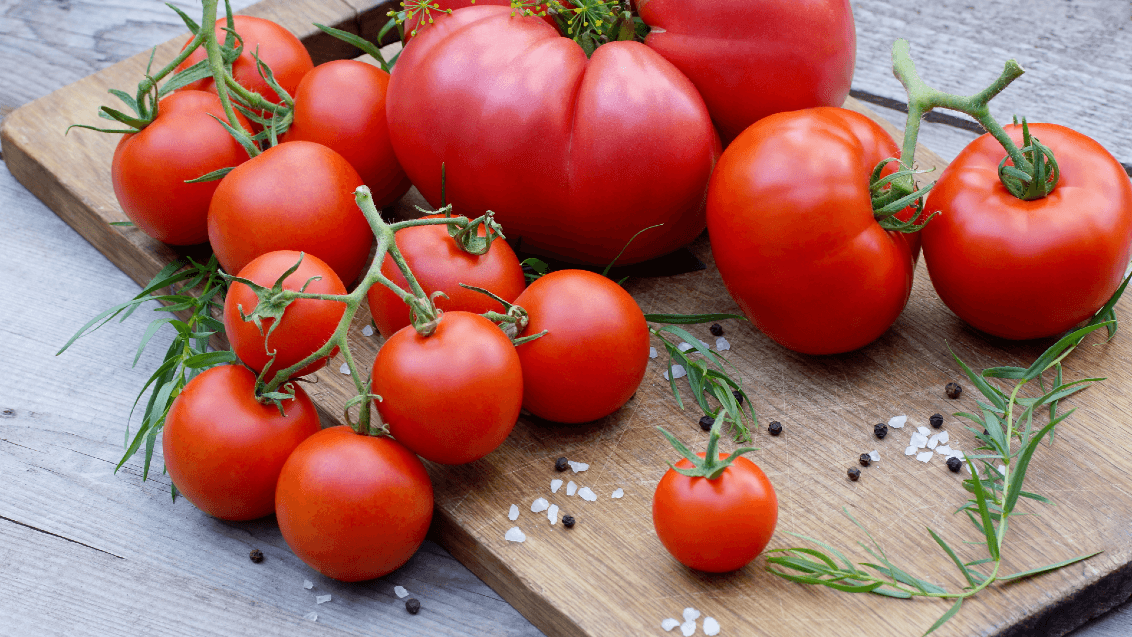 РЕВУС® — стандарт в контроле фитофтороза