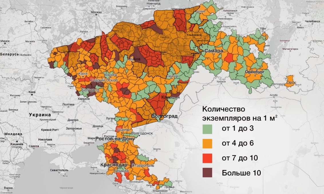 Контроль почвенных и наземных вредителей