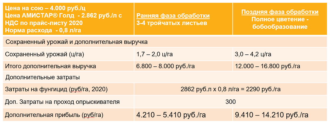 Экономическая эффективность применения АМИСТАР