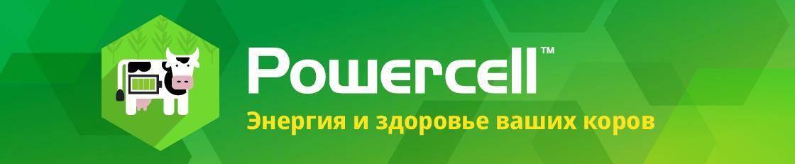 POWERCELL™ – гибриды кукурузы на силос для идеально сбалансированного рациона