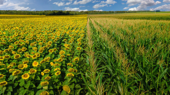 Новинки 2021-2022