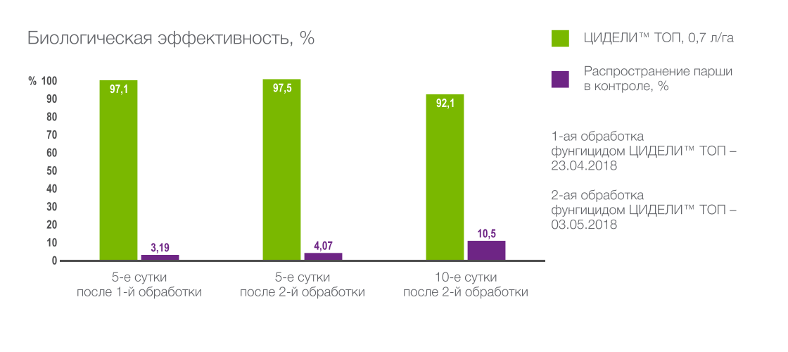 Биологическая эффективность фунгицида ЦИДЕЛИ ТОП, ДК против парши яблони в обработках в фенофазу «плодлещина» (обработки 17.05 и 25.05) в Краснодарском крае,  % АО ОПХ «Центральное», г. Краснодар, Сорт Чемпион, 2018 г.