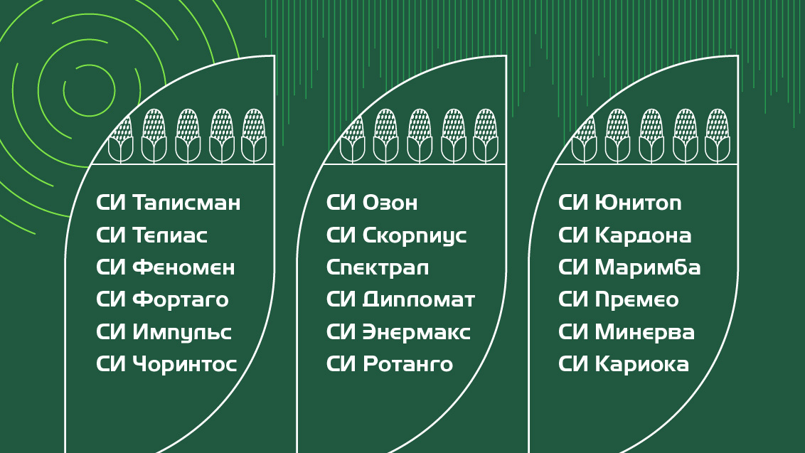 Гибриды кукурузы, участвующие в акции