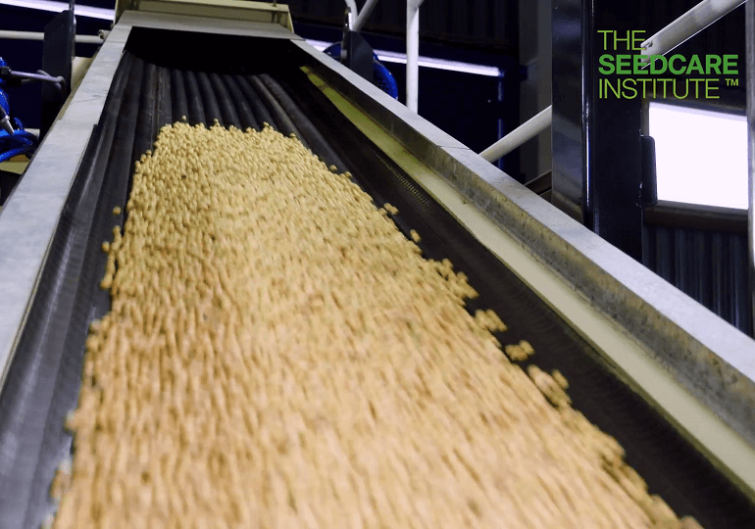 Бережная эффективность