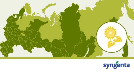 Интерактивный подбор гибридов подсолнечника