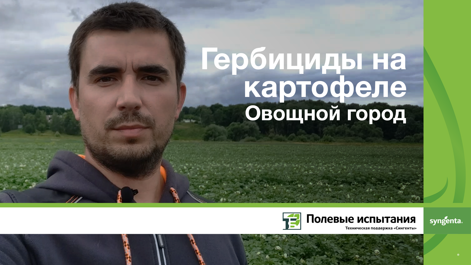 Гербициды на картофеле